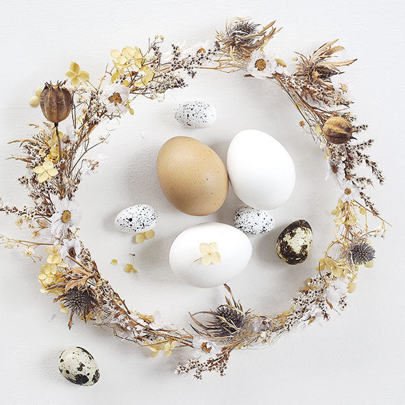 Lunch Napkin - Eggs
