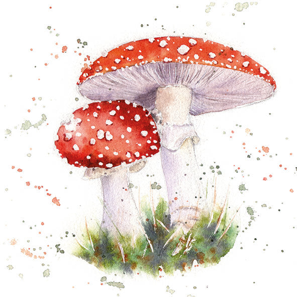 Lunch Napkin - Painted Fly Agaric