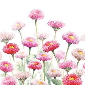 Lunch Napkin - Painted Bellis