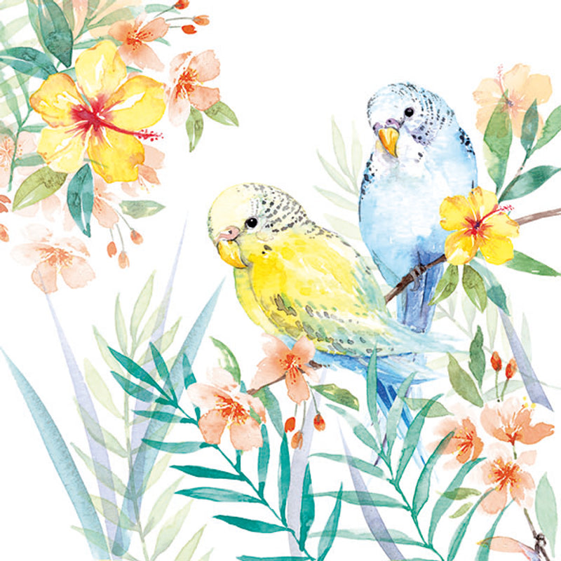 Lunch Napkin - Budgies Couple