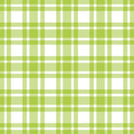 Lunch Napkin - Checkered Pattern Green