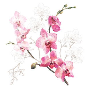 Lunch Napkin - Orchid