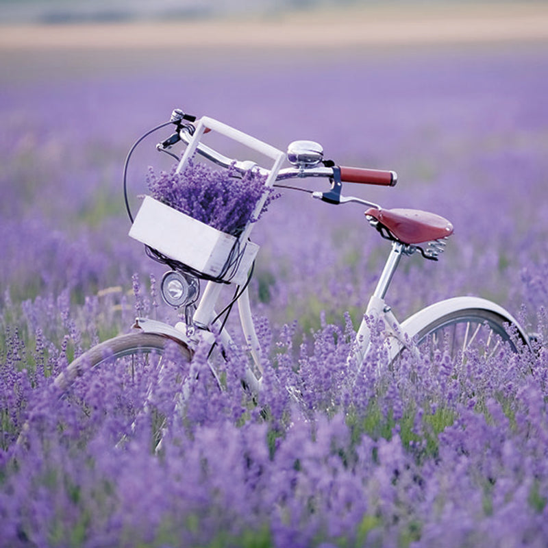 Lunch Napkin - Bike In Lavender Field