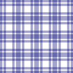 Lunch Napkin - Checkered Pattern Peri