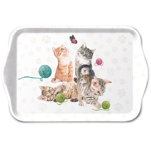 
                
                    Load image into Gallery viewer, TRAY - Playing Kitten (13 x 21cm)
                
            