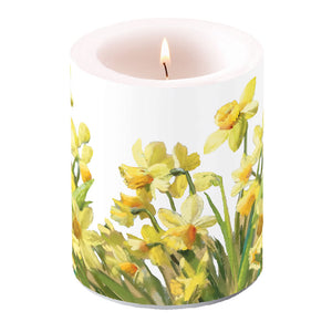 Candle LARGE - Golden Daffodils