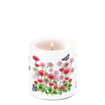 Candle SMALL - Bellis