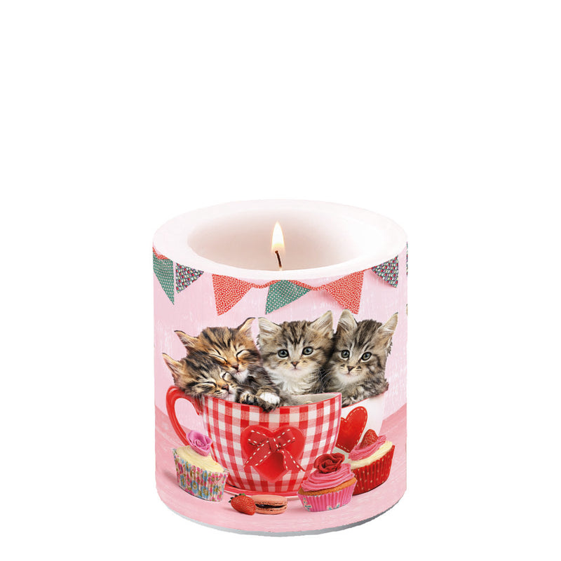 Candle SMALL - Cats in Tea Cups