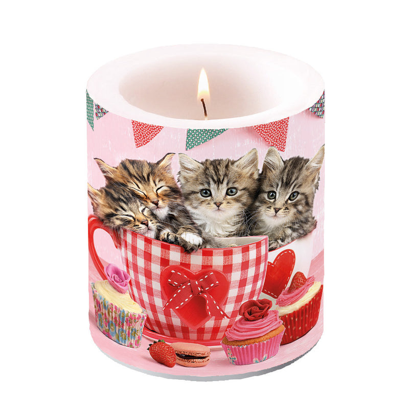 Candle MEDIUM - Cats in Tea Cups