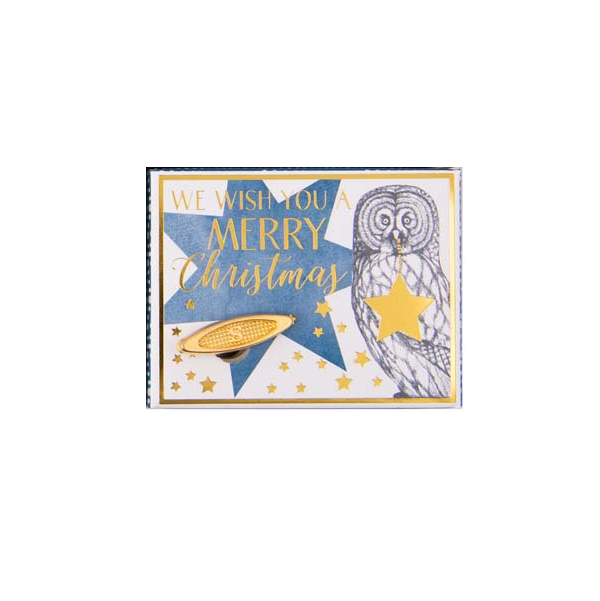
                
                    Load image into Gallery viewer, Music Box (HOLIDAY Collection) - Wish You A Merry Christmas OWL
                
            