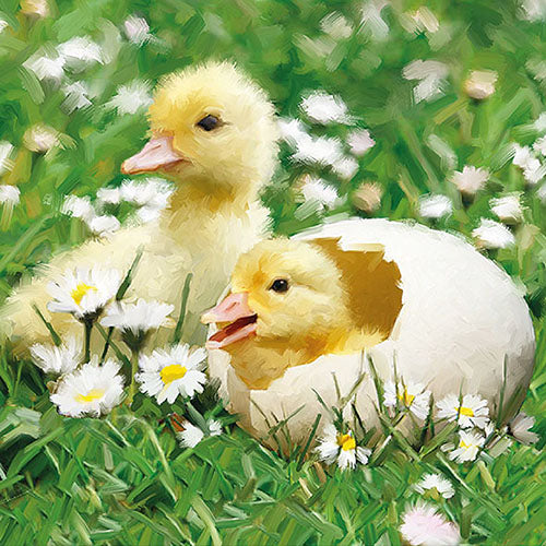 Lunch Napkin - Newborn Chicks