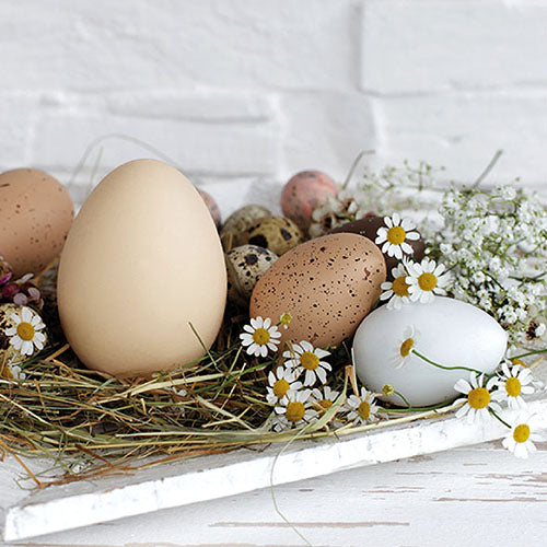 Lunch Napkin - Pastel Eggs