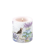 Candle SMALL - Kitten