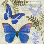 Lunch Napkin - Blue Morpho