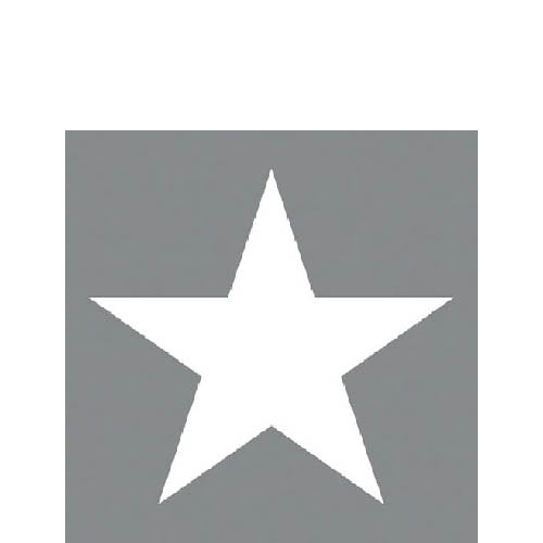 
                
                    Load image into Gallery viewer, Cocktail Napkin - Star GREY
                
            