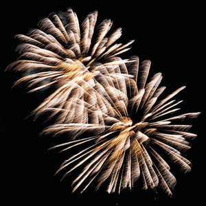 Cocktail Napkin - Golden Firework