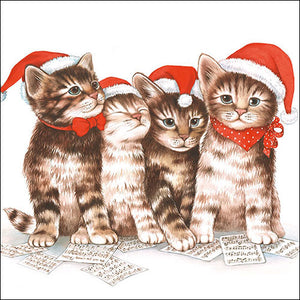 Lunch Napkin - Singing Cats