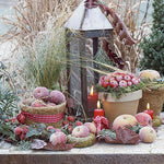 Lunch Napkin - Frozen Fruits