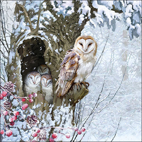 
                
                    Load image into Gallery viewer, Lunch Napkin - Barn Owl
                
            
