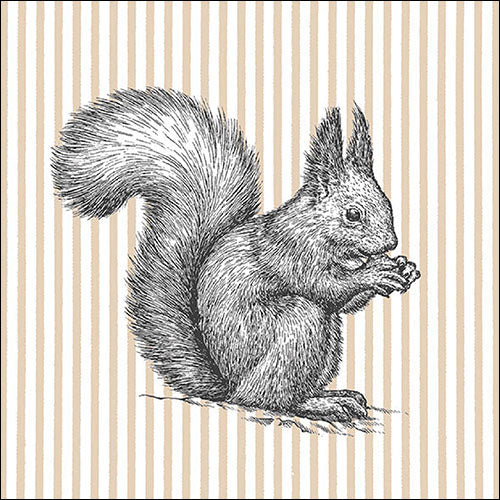 Lunch Napkin - Etching Squirrel Lines