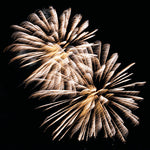 Lunch Napkin - Golden Firework