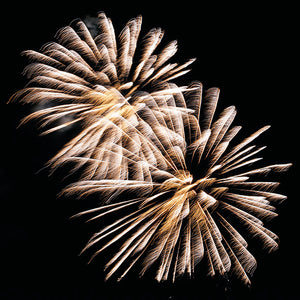 
                
                    Load image into Gallery viewer, Lunch Napkin - Golden Firework
                
            