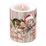 Candle LARGE - Curious Kittens