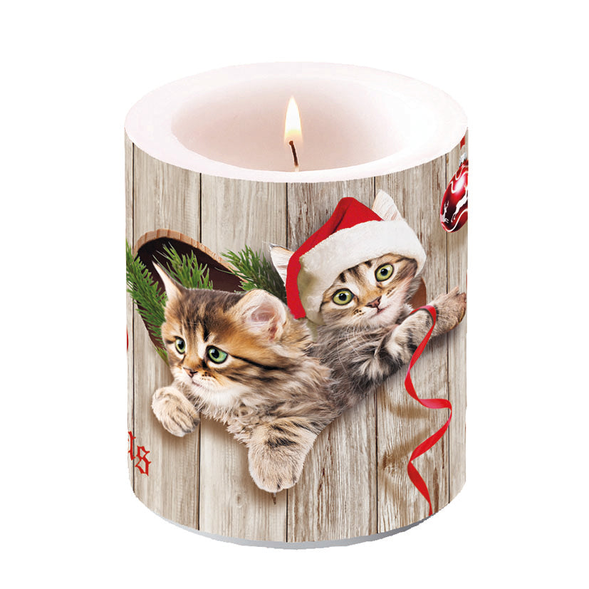 Candle MEDIUM - Curious Kittens