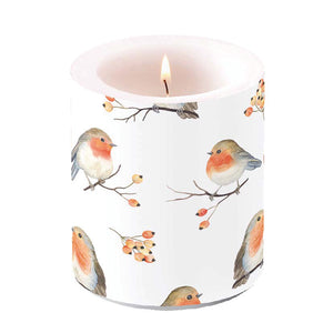 
                
                    Load image into Gallery viewer, Candle MEDIUM - Robin Family
                
            