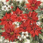 Serviette de table - Poinsettia partout