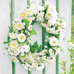 Cocktail Napkin - Wreath of Bellis WHITE