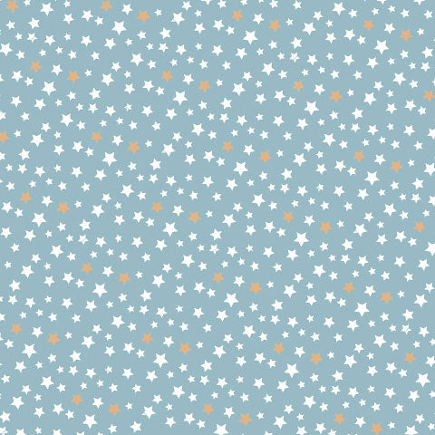
                
                    Load image into Gallery viewer, Lunch Napkin - Assorted Stars Pattern on LIGHT BLUE
                
            