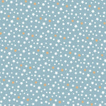 Lunch Napkin - Assorted Stars Pattern on LIGHT BLUE