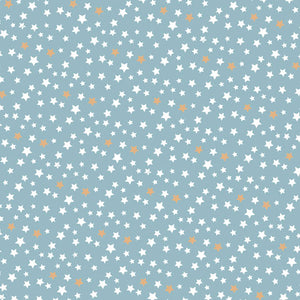
                
                    Load image into Gallery viewer, Lunch Napkin - Assorted Stars Pattern on LIGHT BLUE
                
            