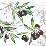 Serviette à Déjeuner - Olives