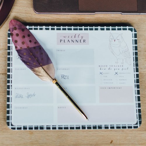 Writing Instrument (FEATHER PEN) - Gold Dots on Pink/Berry/Gold Bloc (Single Feather)
