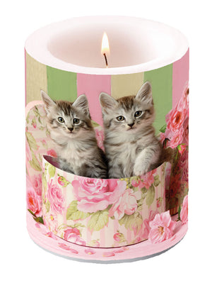 Candle LARGE - Cats in Box