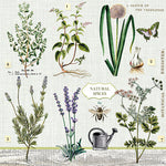 Lunch Napkin - Herbs Garden