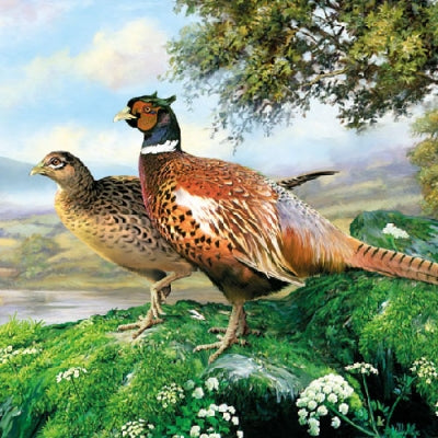 
                
                    Load image into Gallery viewer, Lunch Napkin - Pheasant
                
            