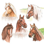 Lunch Napkin - Horse Range