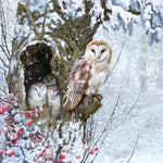 Lunch Napkin - Barn Owl