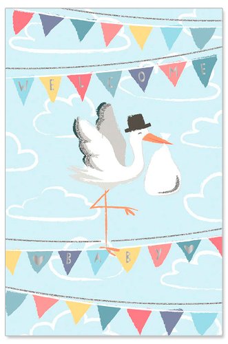 Greeting Card (Baby) - Stork Delivery