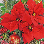 Serviette à Déjeuner - Poinsettia Rouge