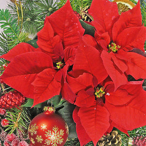 Lunch Napkin - Red Poinsettia