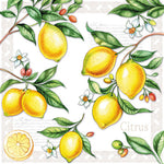 Cocktail Napkin - Citrus