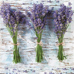 Lunch Napkin - Three Bunches of Lavender