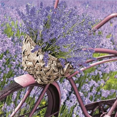 Lunch Napkin - Lavender Bicycle