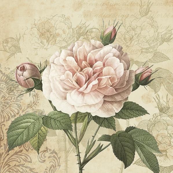 Lunch Napkin - Vintage Rose with Buds