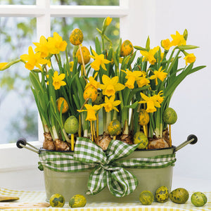 Lunch Napkin - Daffodils